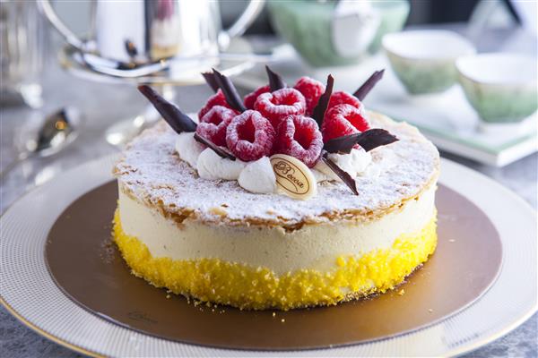 廣西蒂麗雪斯有多少店鋪？